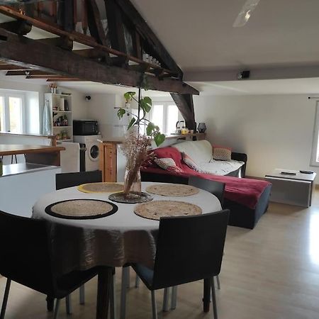 Appartement De Charme Coeur Historique Périgueux Dış mekan fotoğraf