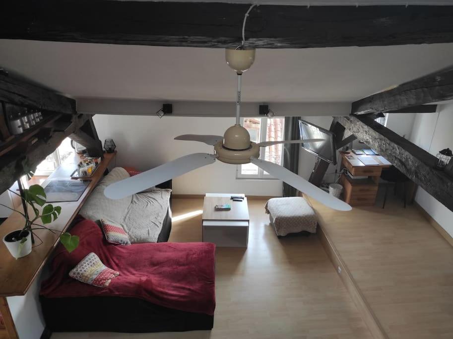 Appartement De Charme Coeur Historique Périgueux Dış mekan fotoğraf